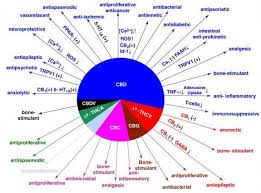 CBD and Hemp Seed Oil Nutrition – Journal of Nutraceuticals, Functional & Medical Foods