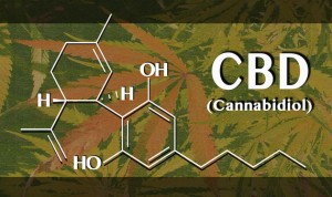 CBD Cannabidiol