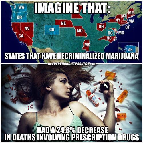 States Decriminalizing Marijuana Saw a 25% Drop in Drug Overdoses