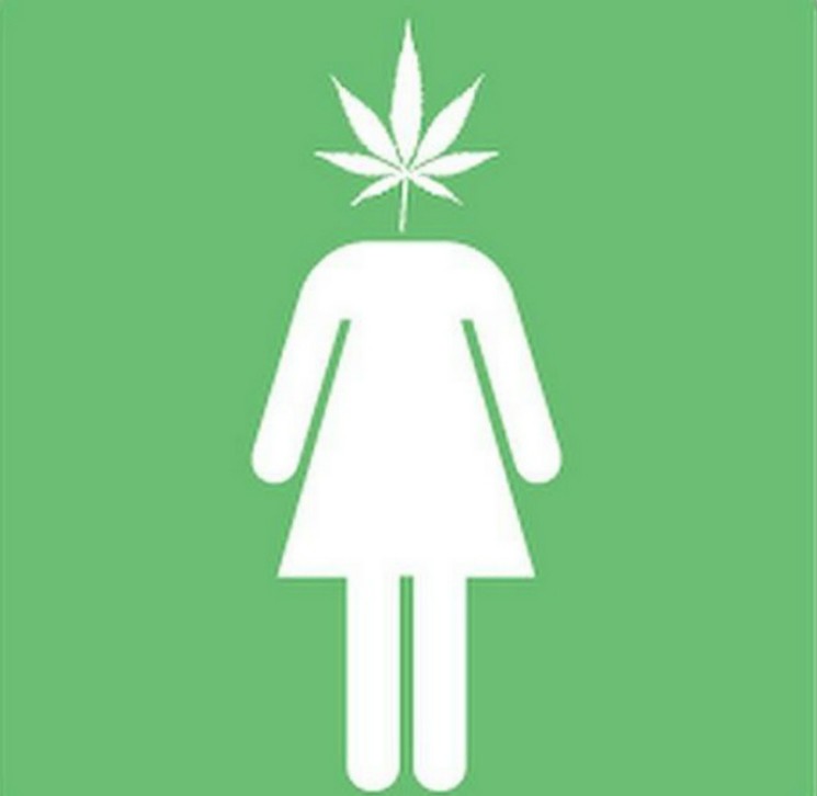 WOMEN WORKING TO CREATE OPPORTUNITIES IN NEW YORK’S GROWING CANNABIS INDUSTRY