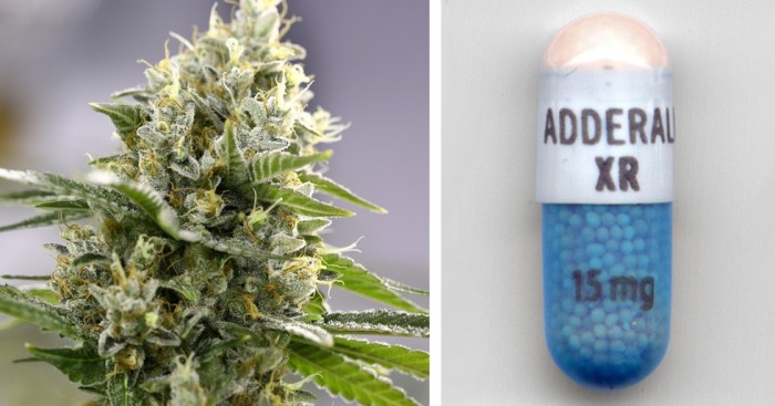 Groundbreaking Research Confirms ADHD Likely Helped Better with Cannabis than Adderall