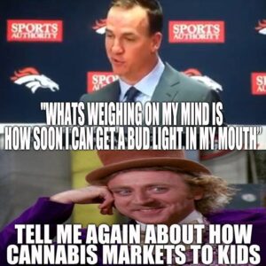 Hempioneers Teen Marijuana Use