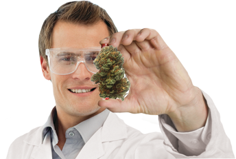 Hempioneers - Study shows Vaporizers can be healthy alternative to smoking cannabis