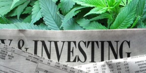 Investment Surging in Marijuana Companies